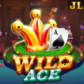 Wild Ace - Block Code Game
